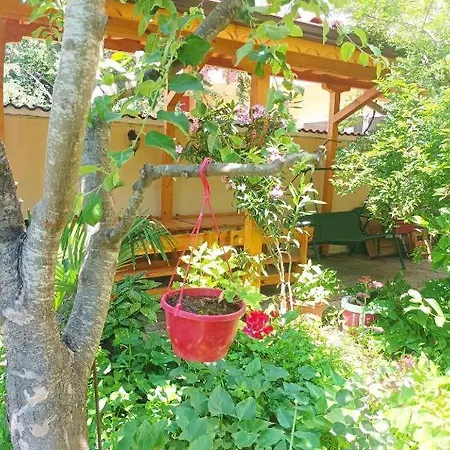 Family House Victoria' Garden Primorsko